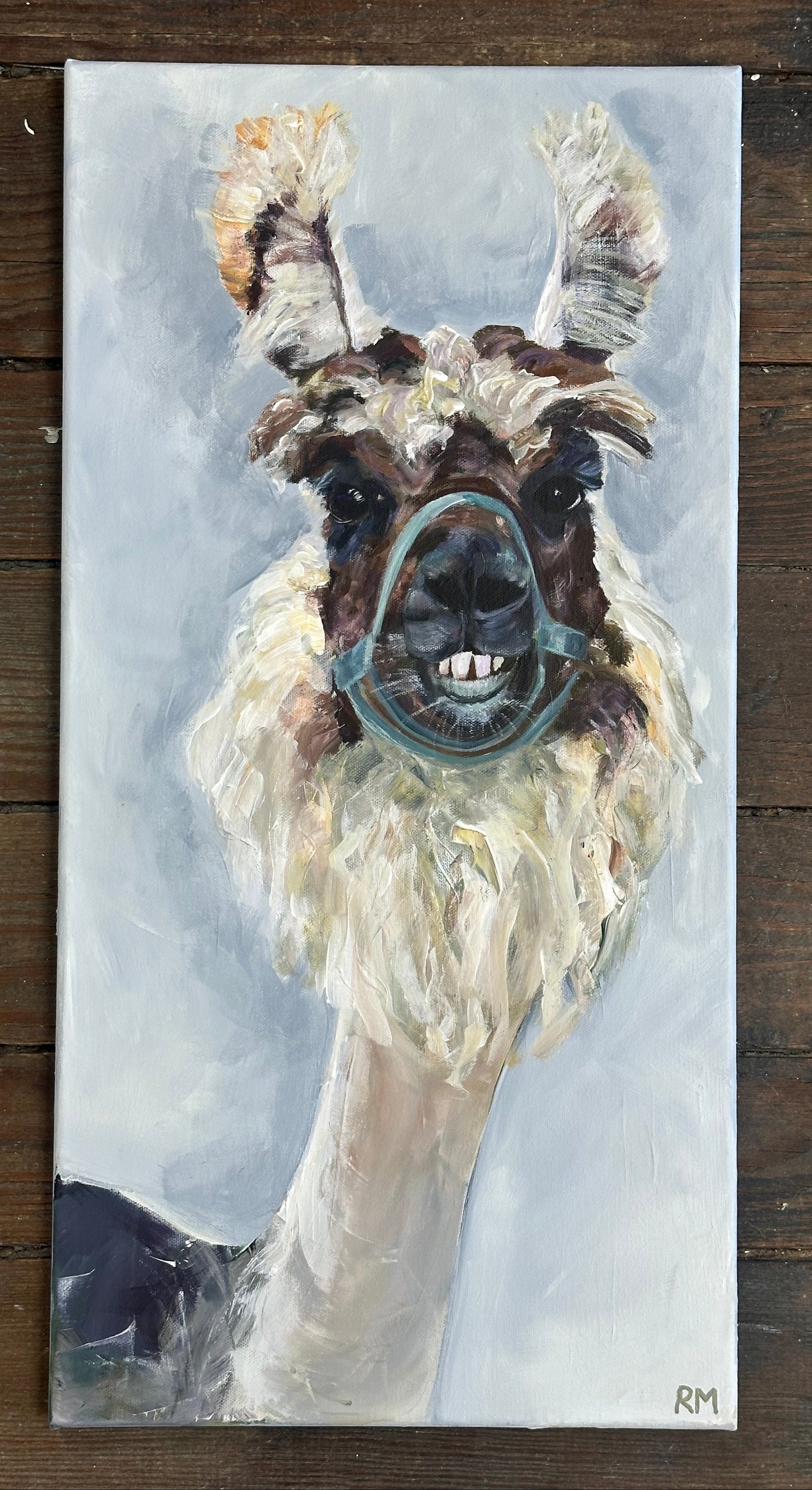 The Gentle Llama