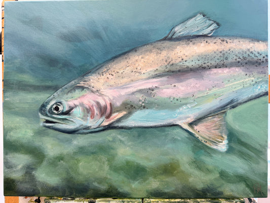 Rainbow Trout