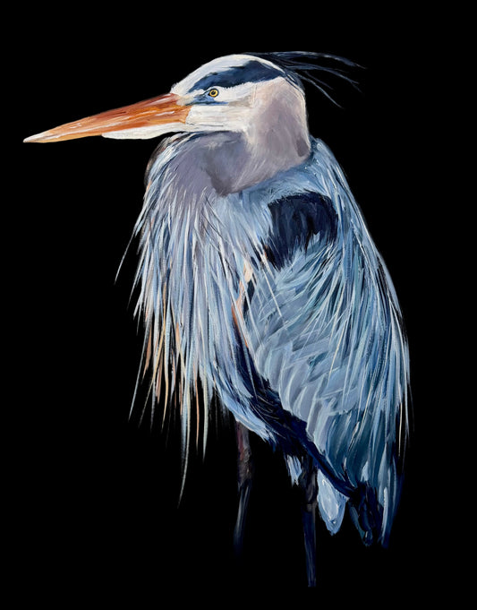 Quiet Tide -Blue Heron