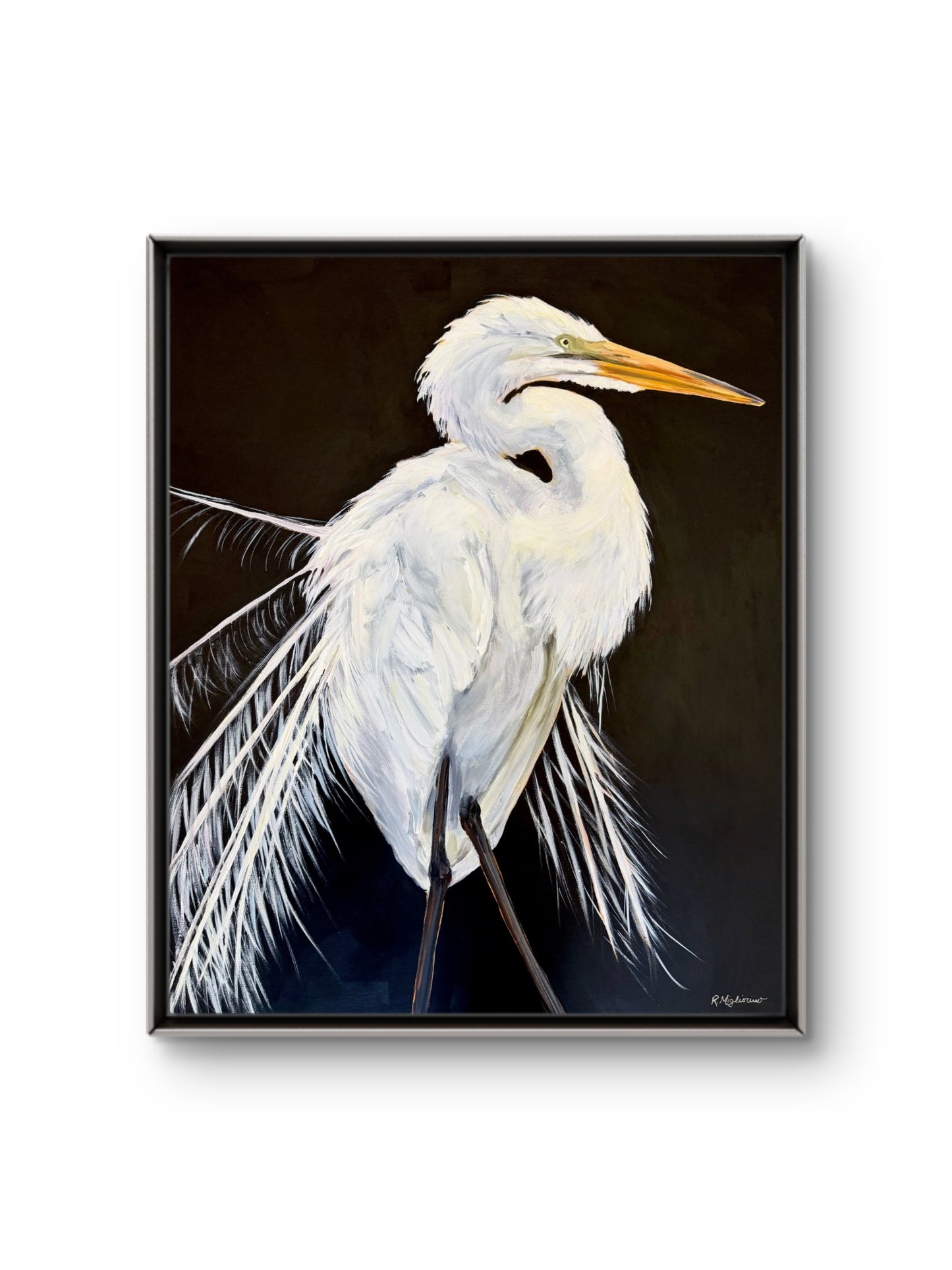 The Lone Egret