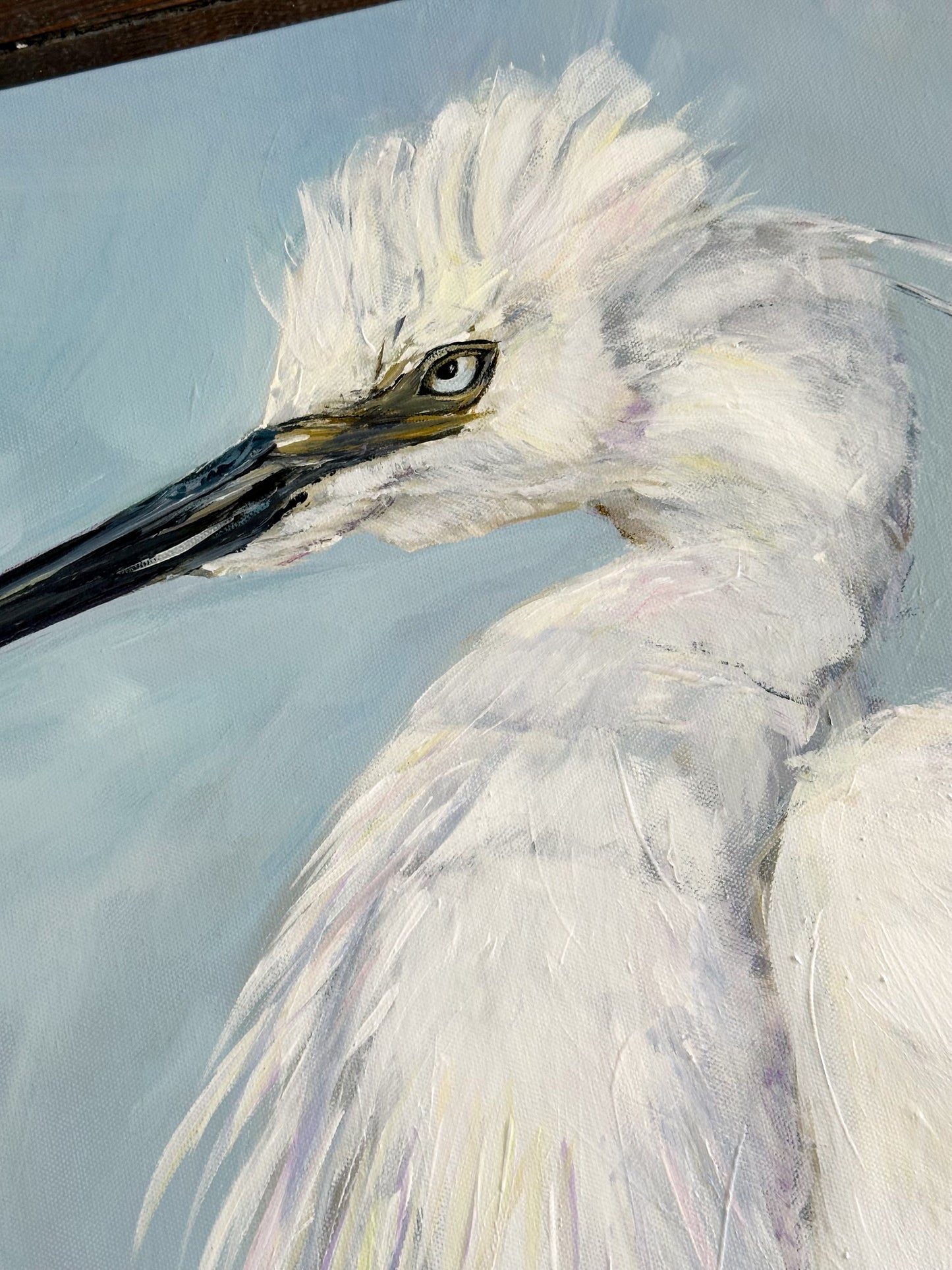 Little Egret (SOLD)