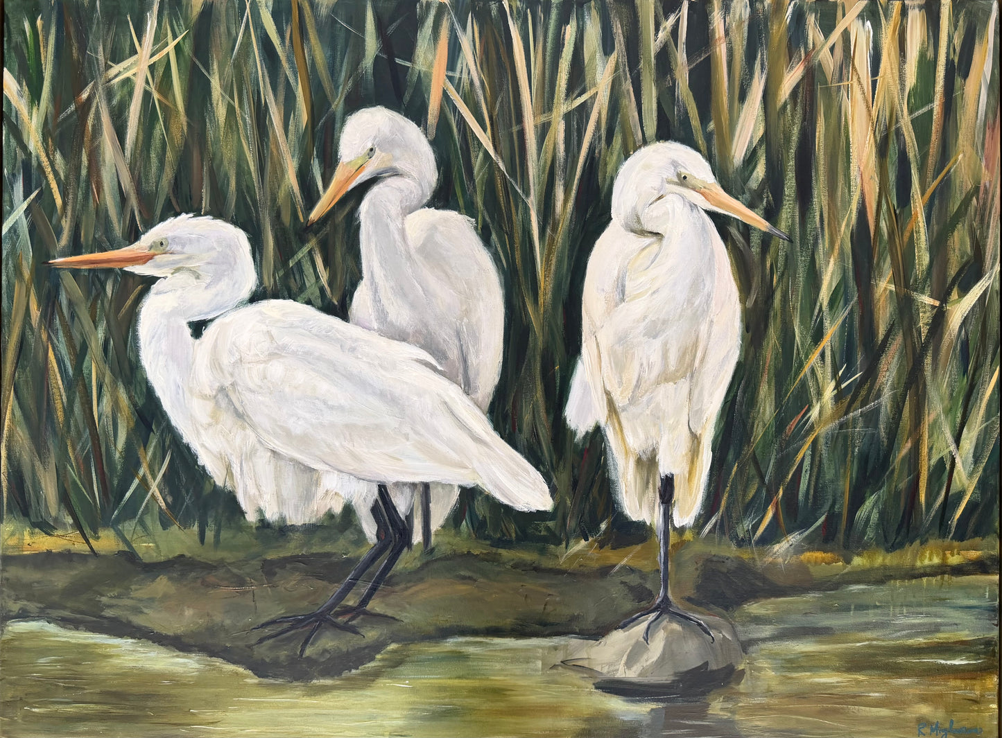 Egrets in the Marsh