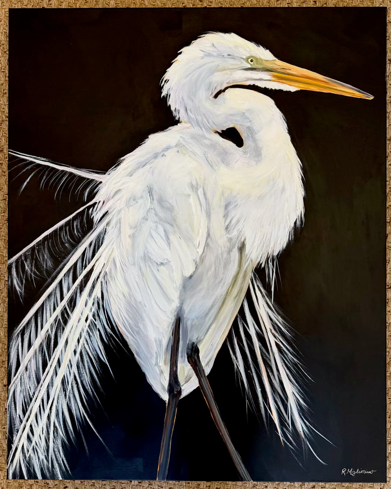 The Lone Egret