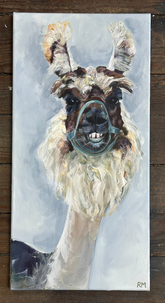 The Gentle Llama